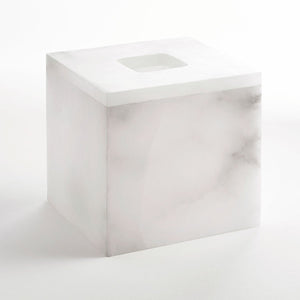 Tissue Holder